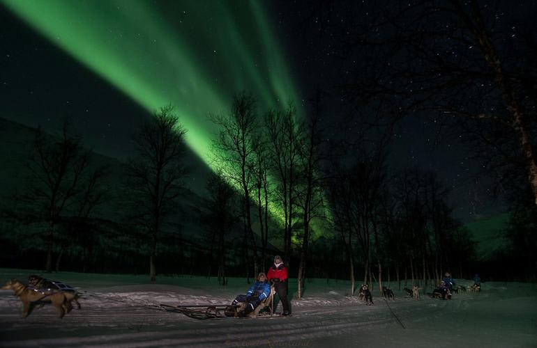 Hundeschlittenfahrt in Tromsø