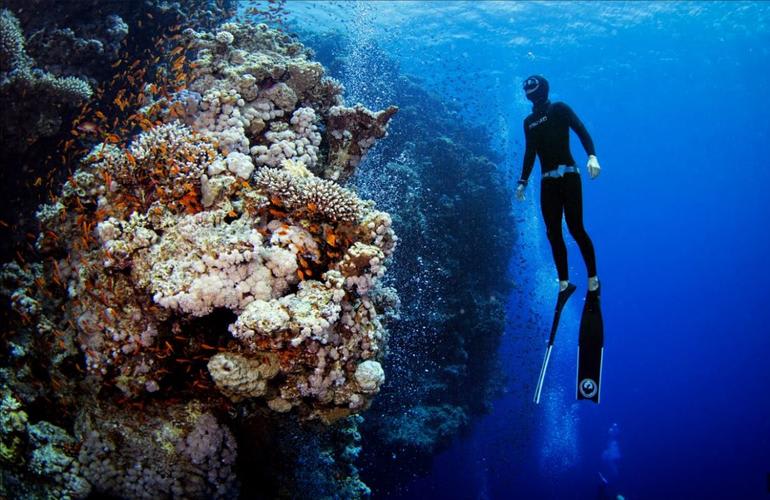 RAID and SSI freediving courses in Cebu