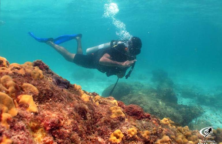 Plongée sous-marine à Pattaya