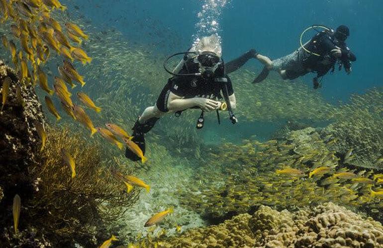 plongée sous marine Thailande