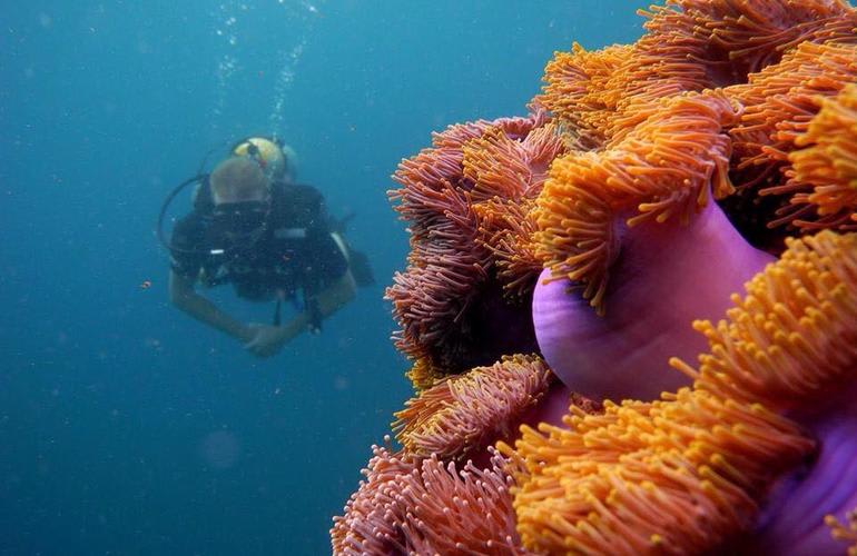 PADI Open Water course in Khao Lak