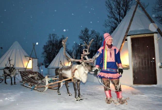 Reindeer Sledding Sami Culture