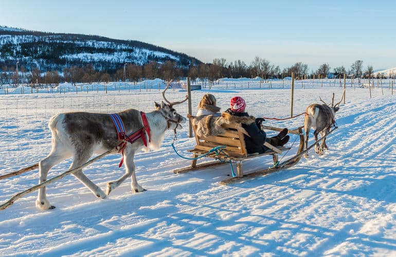 Rentierschlittenfahrt Tromso