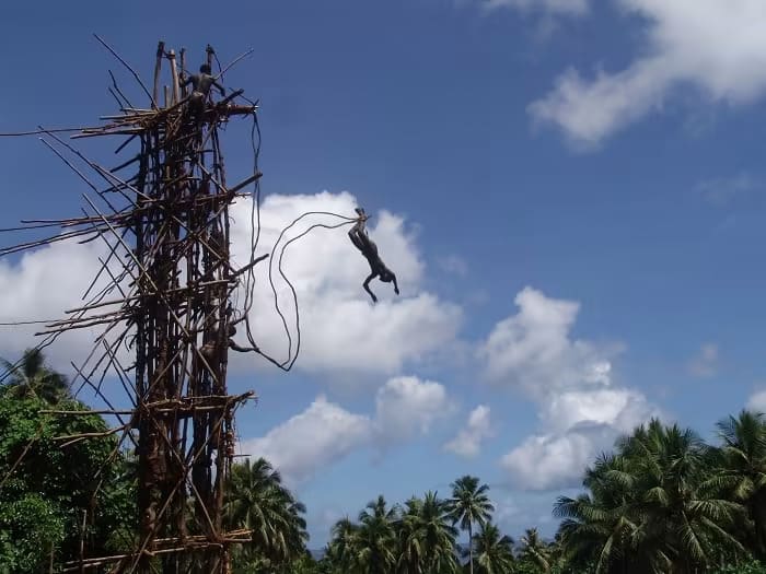 bungee jumping using vines