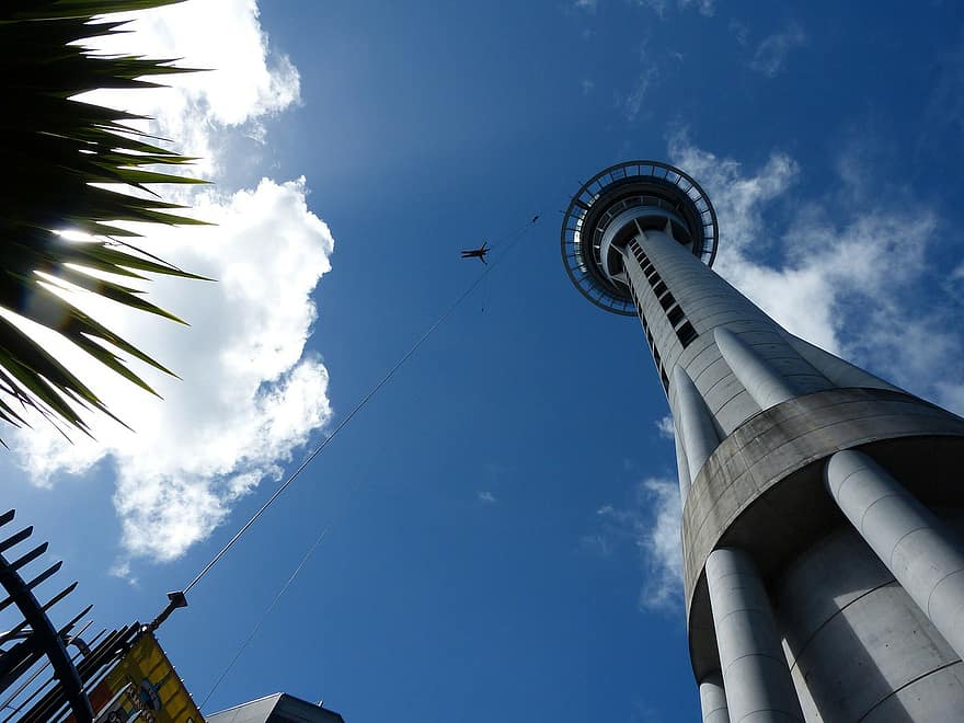 skydiving from the sky tower in auckland new zealand