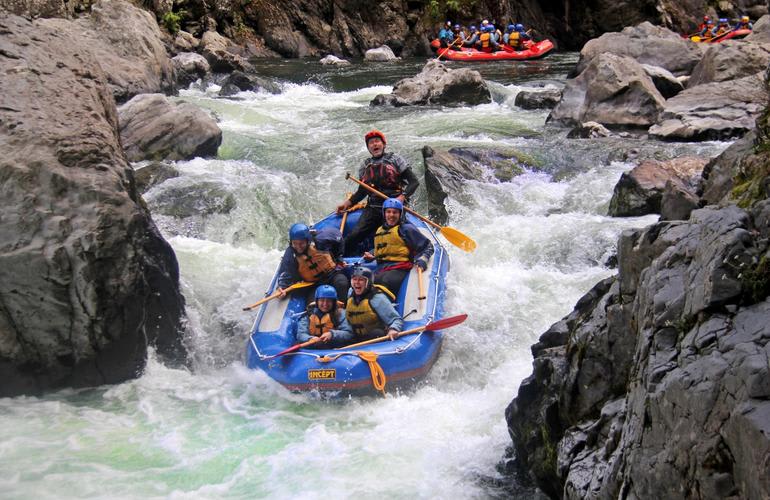 Whitewater river rafting in Rangitikei river in Taihape