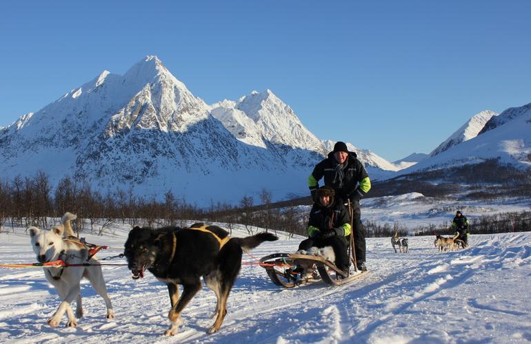 Self driving dog sledding 