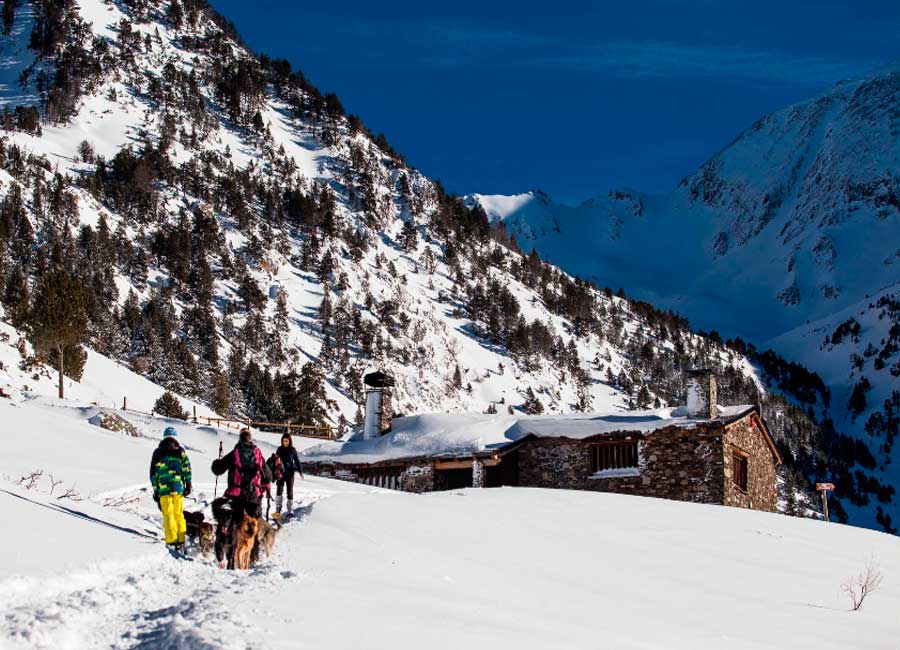 Faire du chien de traîneau dans les paysages d'Andorre