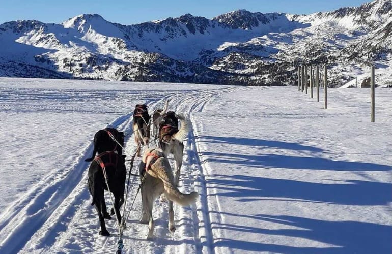 Trineo de perros en Andorra con Mushing Pirineus