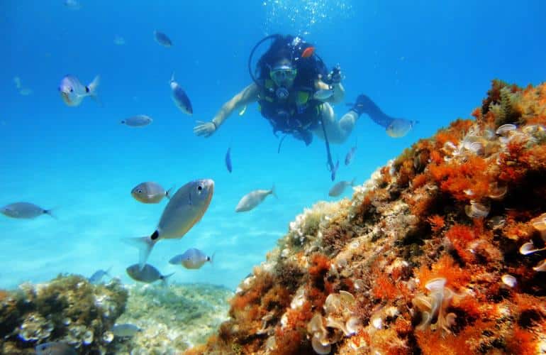 Buceo en Mallorca