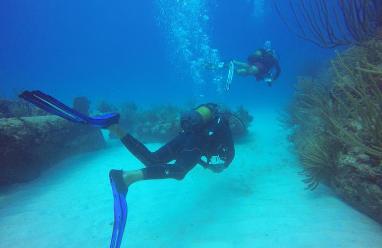 Diving experience on the island of La Désirade