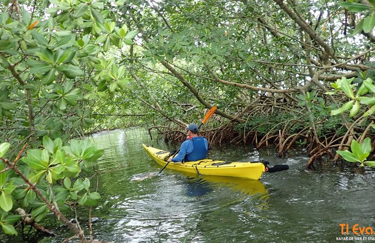 Kajakfahren in den Mangroven in Morne à l'Eau