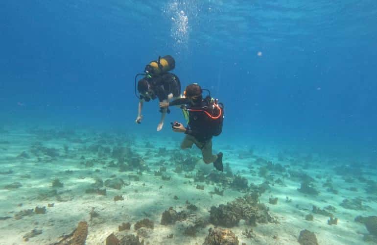 Diving in Port-Louis