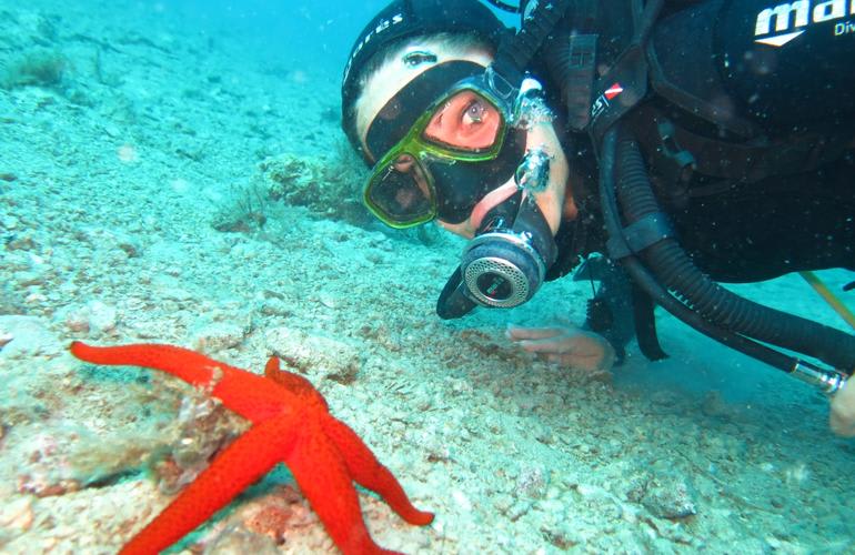 Plongée sous-marine à Split