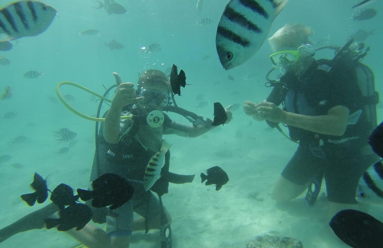 Scuba diving in Moorea