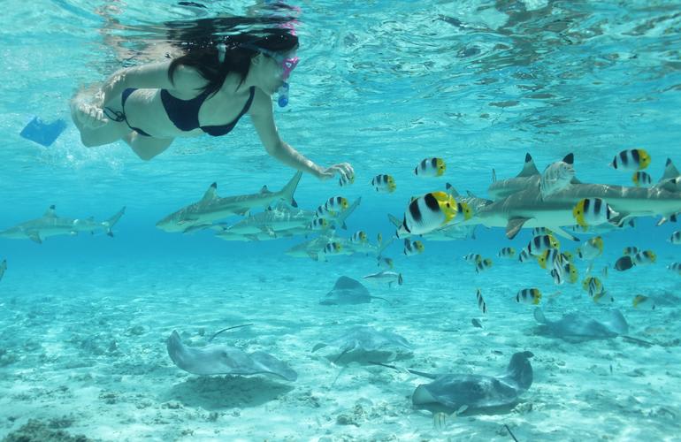 Snorkeling à Bora Bora