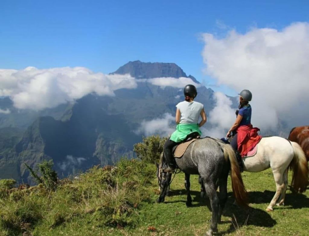 Balade à cheval découverte sur le Mont Maïdo