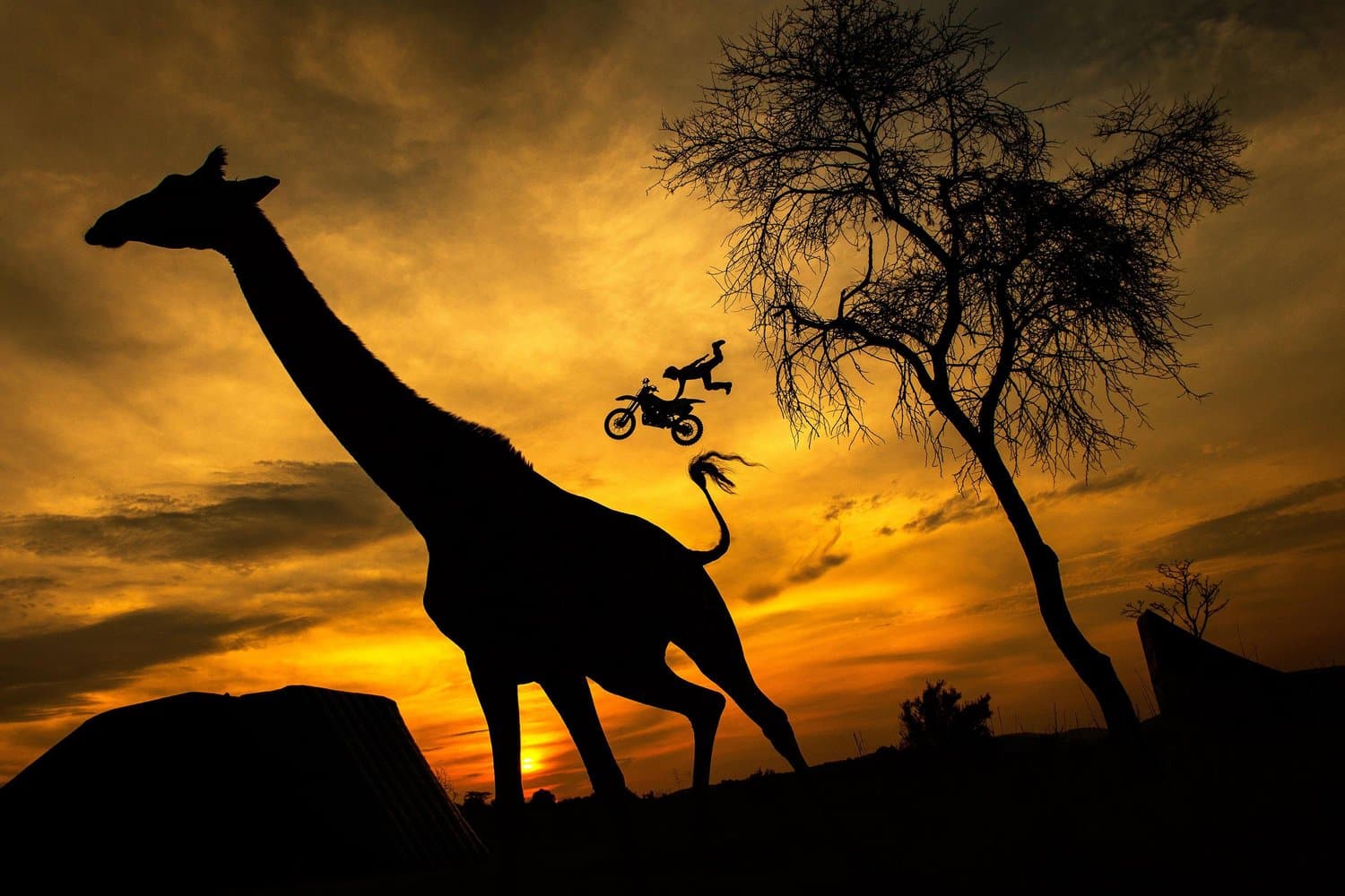 Maikel Melero aus Spanien wärmt sich in der südafrikanischen Savanne vor der fünften Etappe der Red Bull X-Fighters World Tour in Pretoria auf.