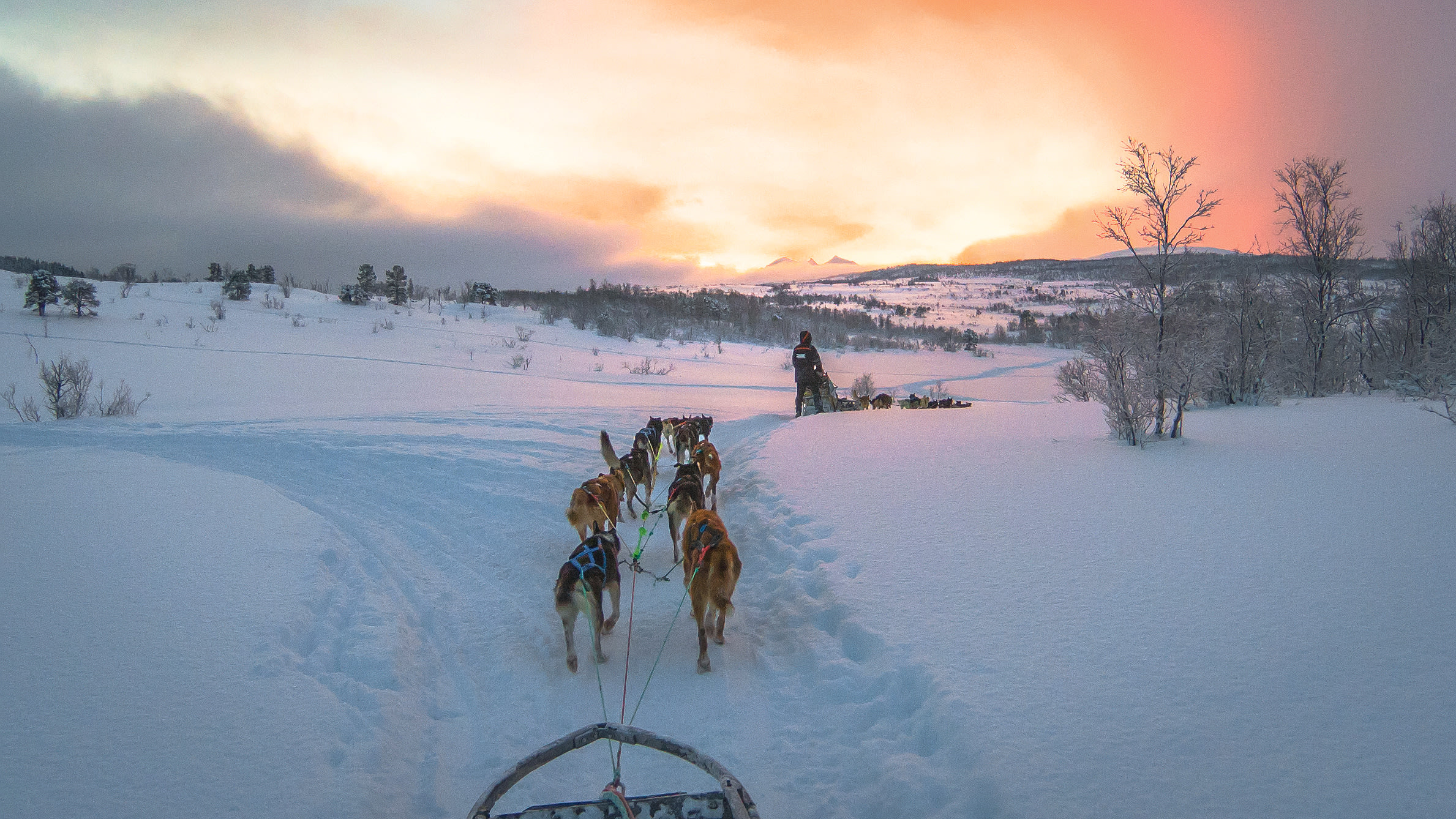 Los 5 mejores trineos de nieve para regalar a un niño