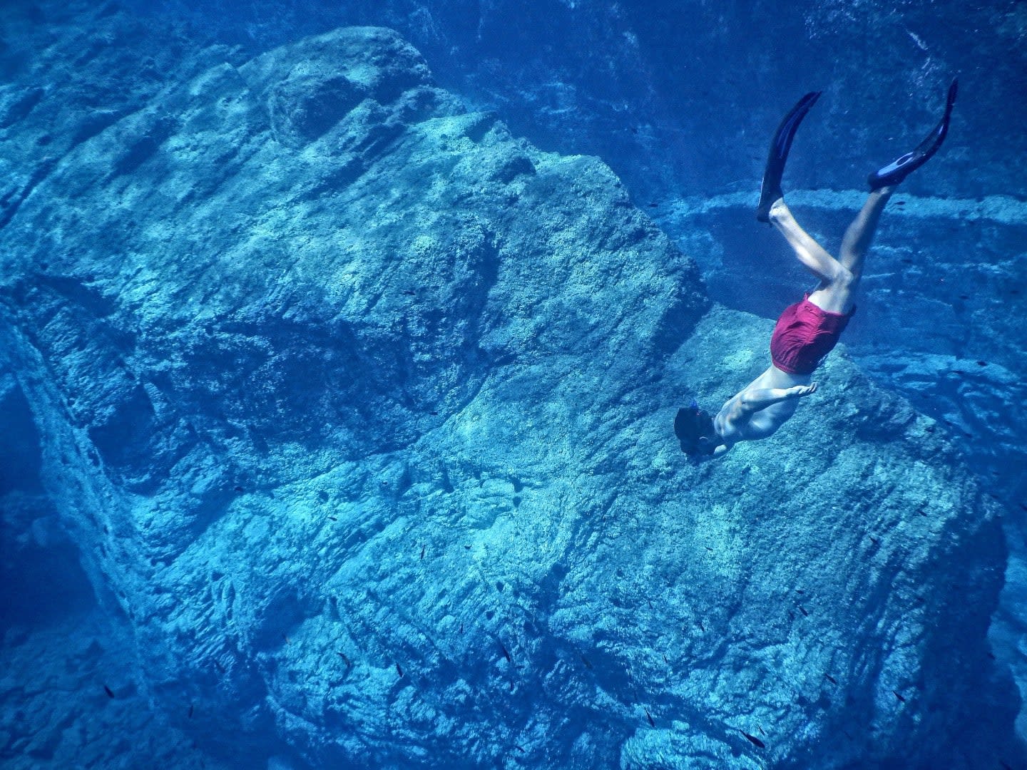 Free Diving Documentary 'The Deepest Breath' Is a Love Story About