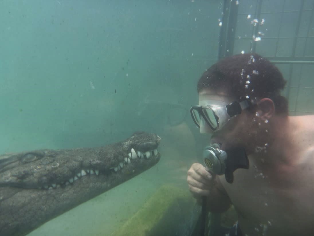 crocodile diving Zimbabwe