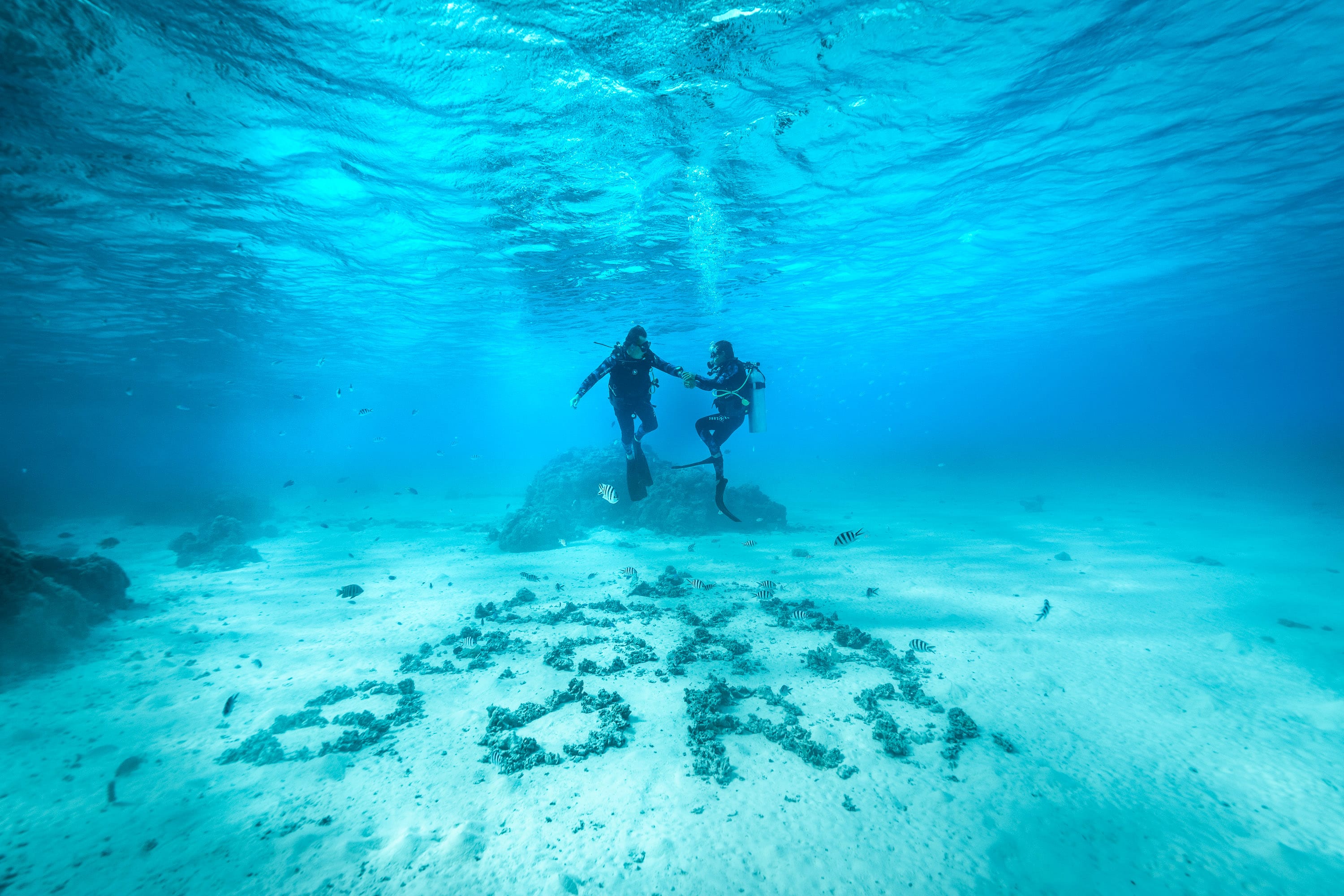 couple first dive