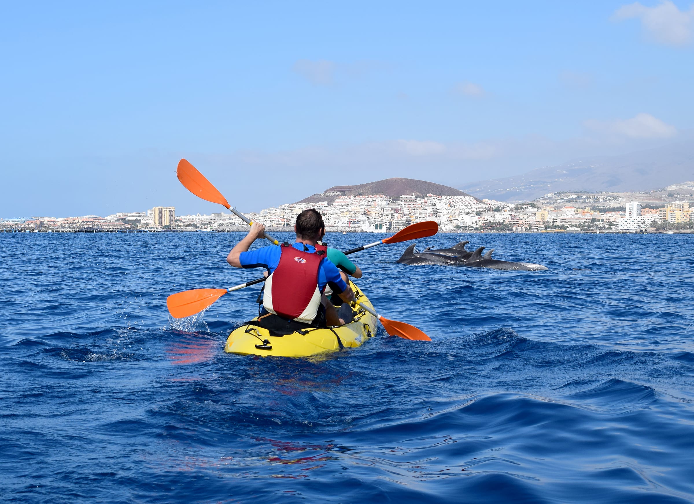 kayaking dolphins LosCristianos Tenerife