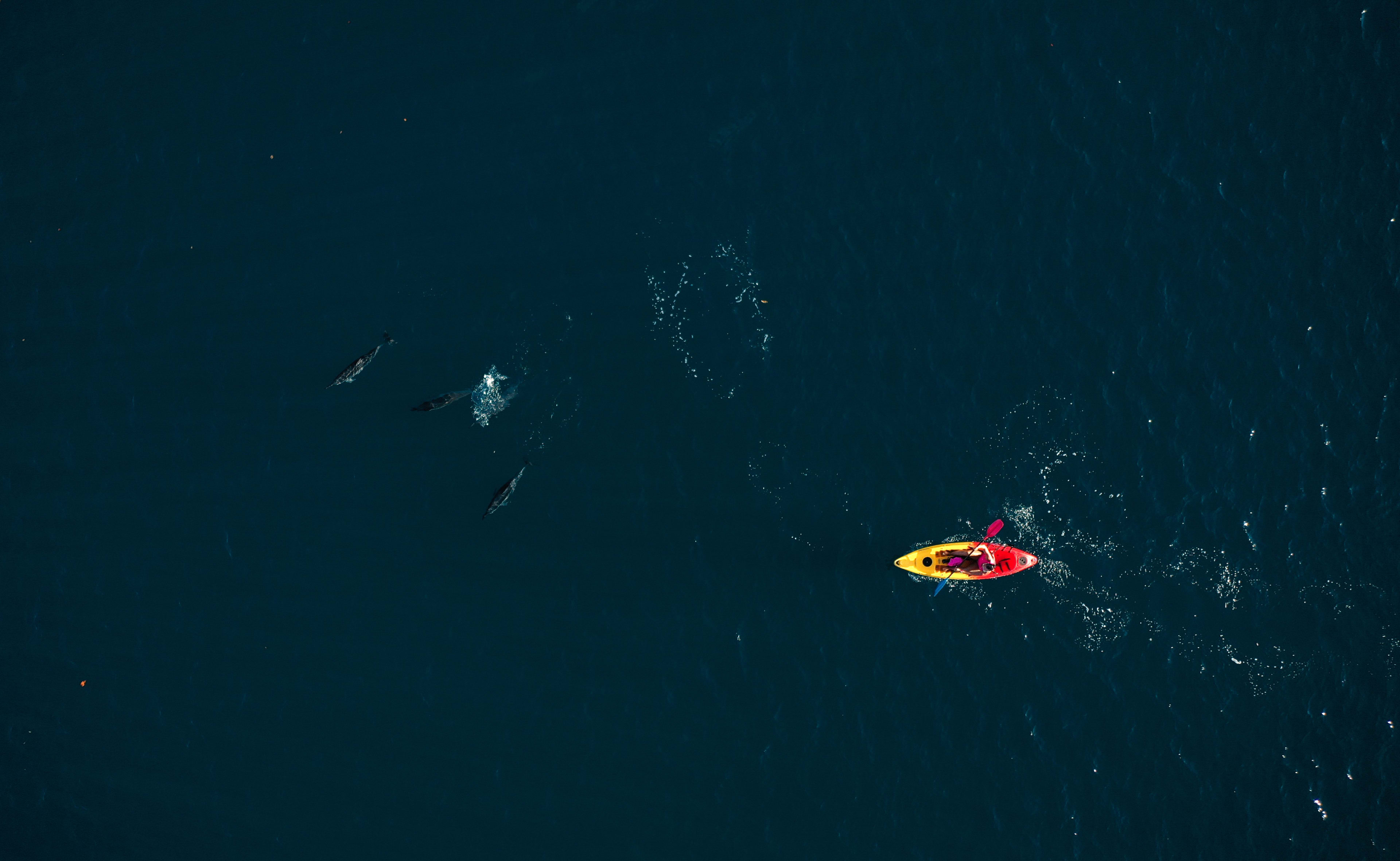 Kayak en la bahía de Tamarin