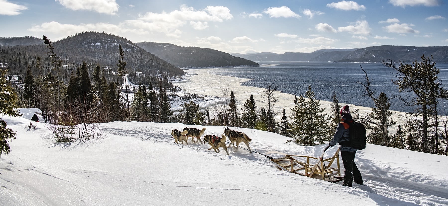 Sled dogs in Tadoussac