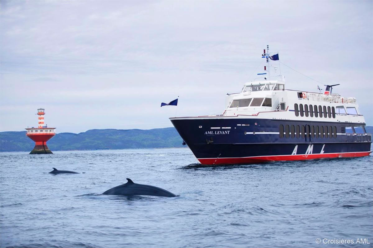 Tadoussac whale watching tour