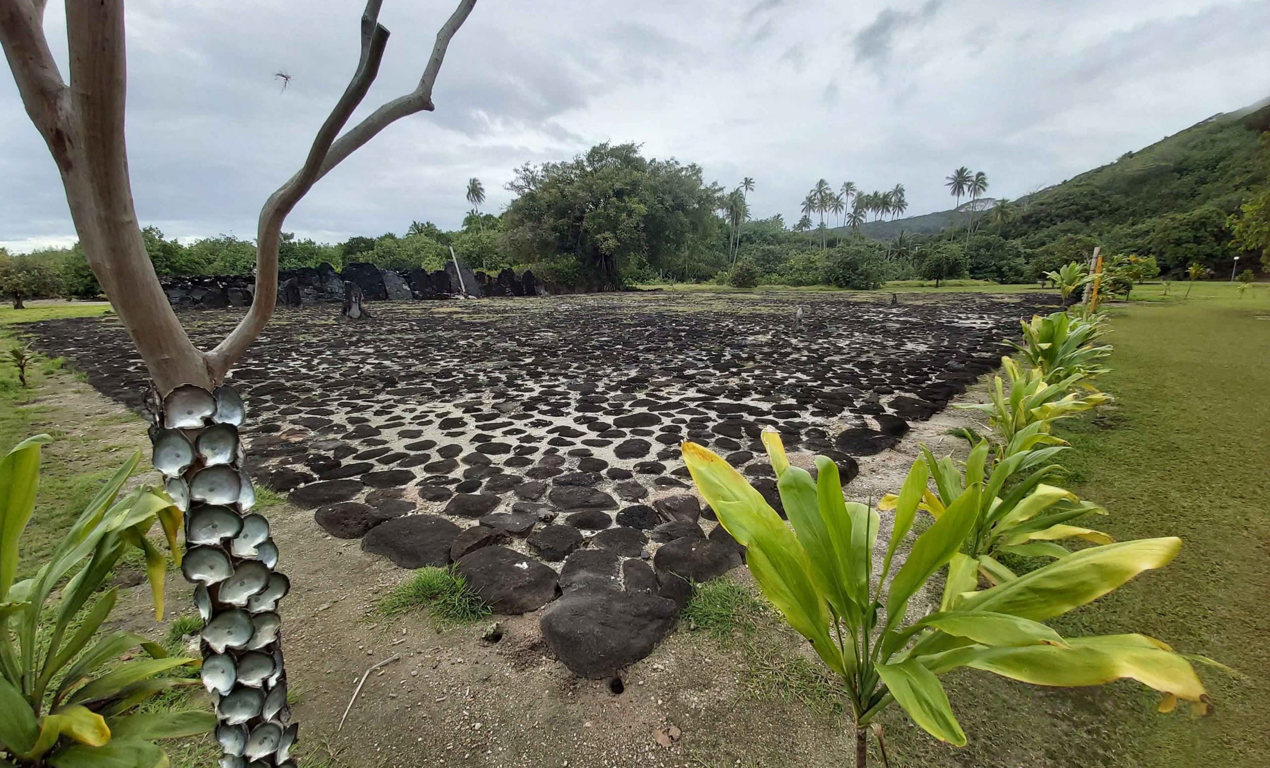 Marae Raiatea