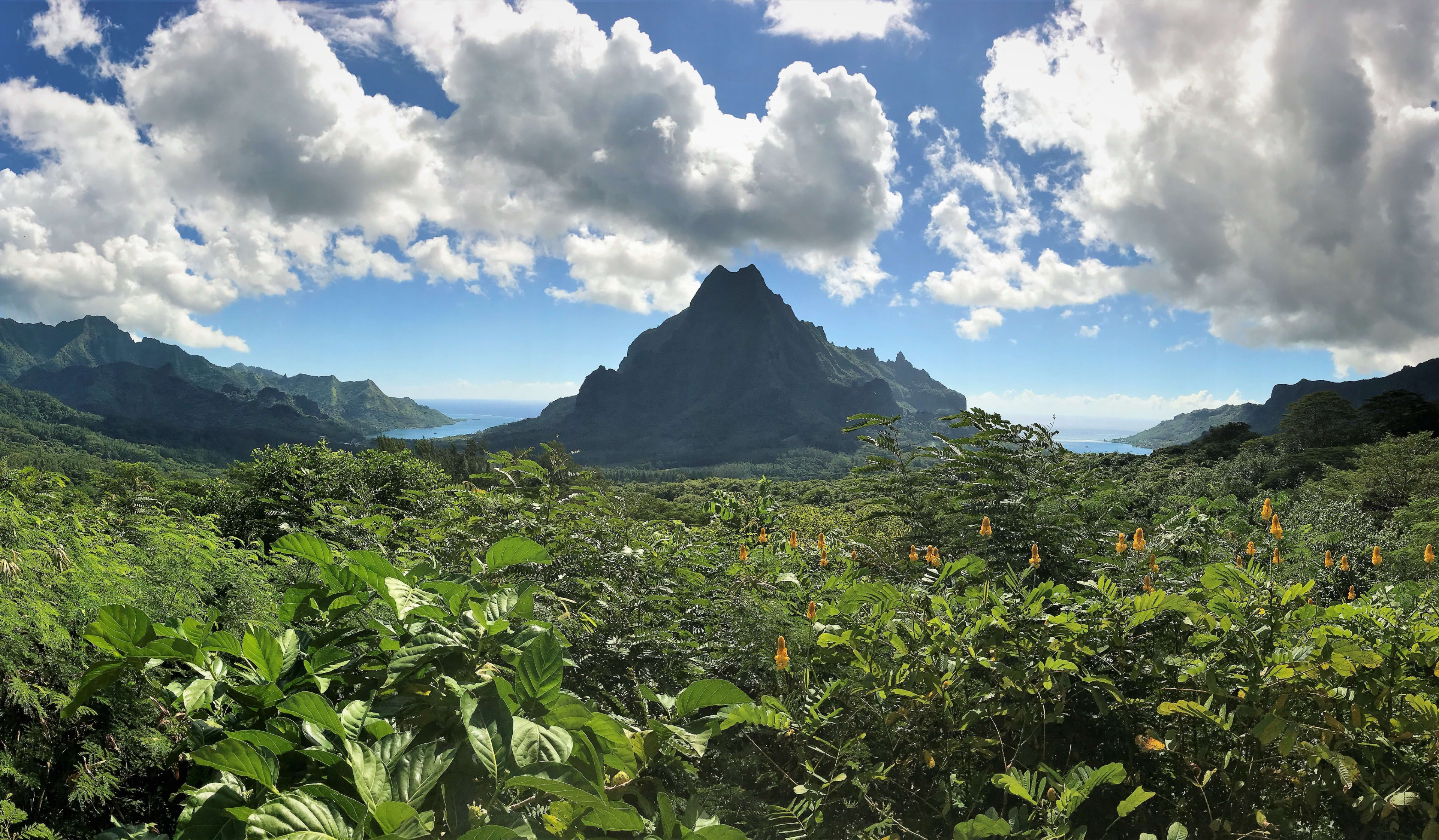 Mont Rotui entre Baie de Cook et d'Opunohu