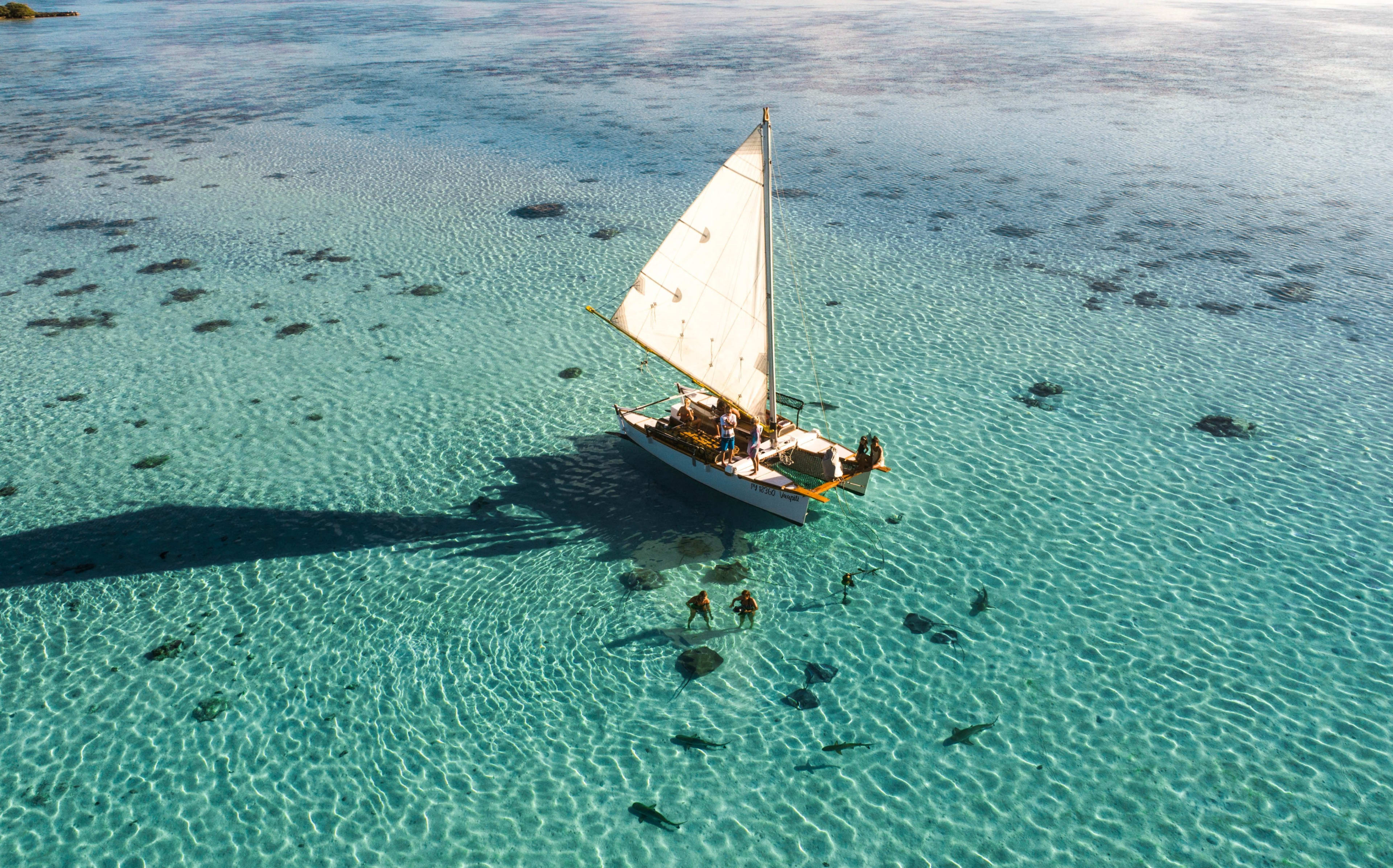 Excursion by traditional pirogue in Moorea