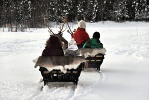 Reindeer Sledding Family