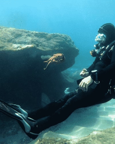 Tauchen mit einem Tintenfisch in Heraklion