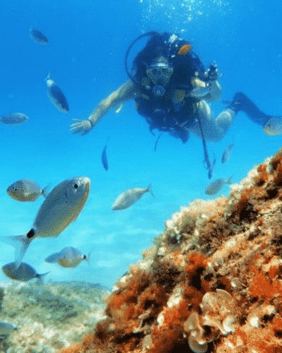 Diving in Palma Mallorca