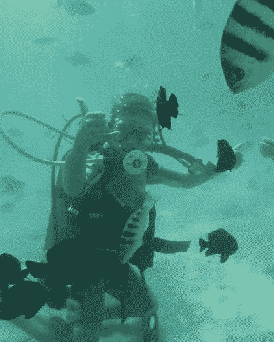 buceo en Moorea