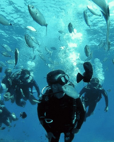 Diving in Santorini