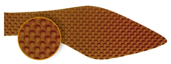 Bolonha