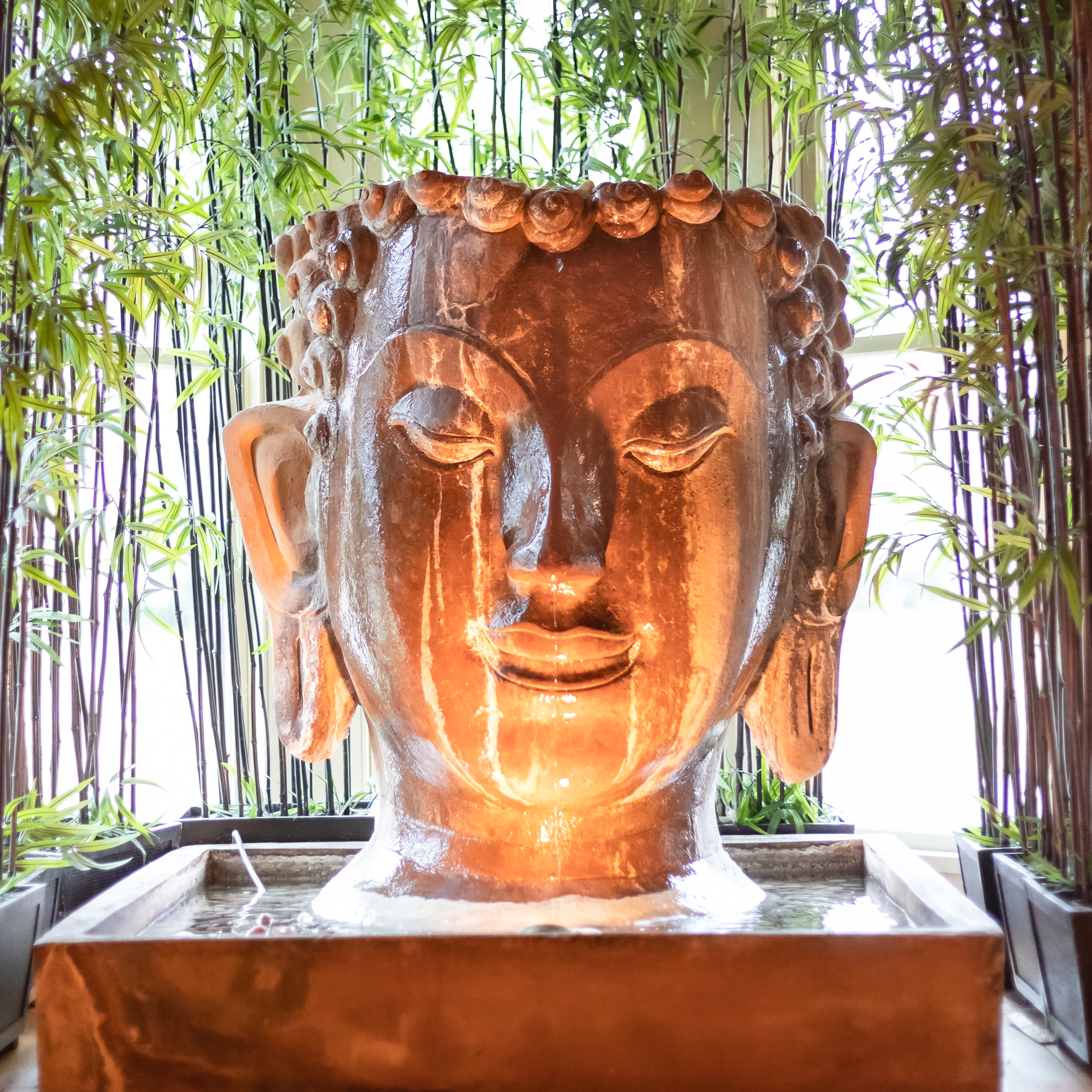 Alchemy Mind and Body