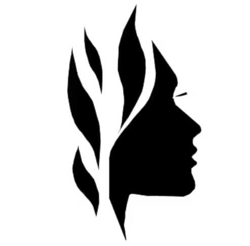 Evexia Spa LLC