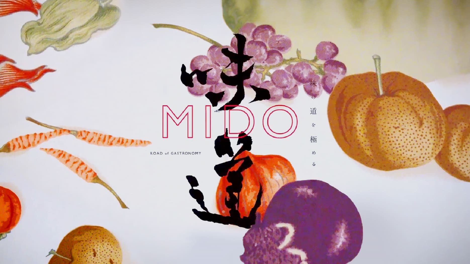 mido味道