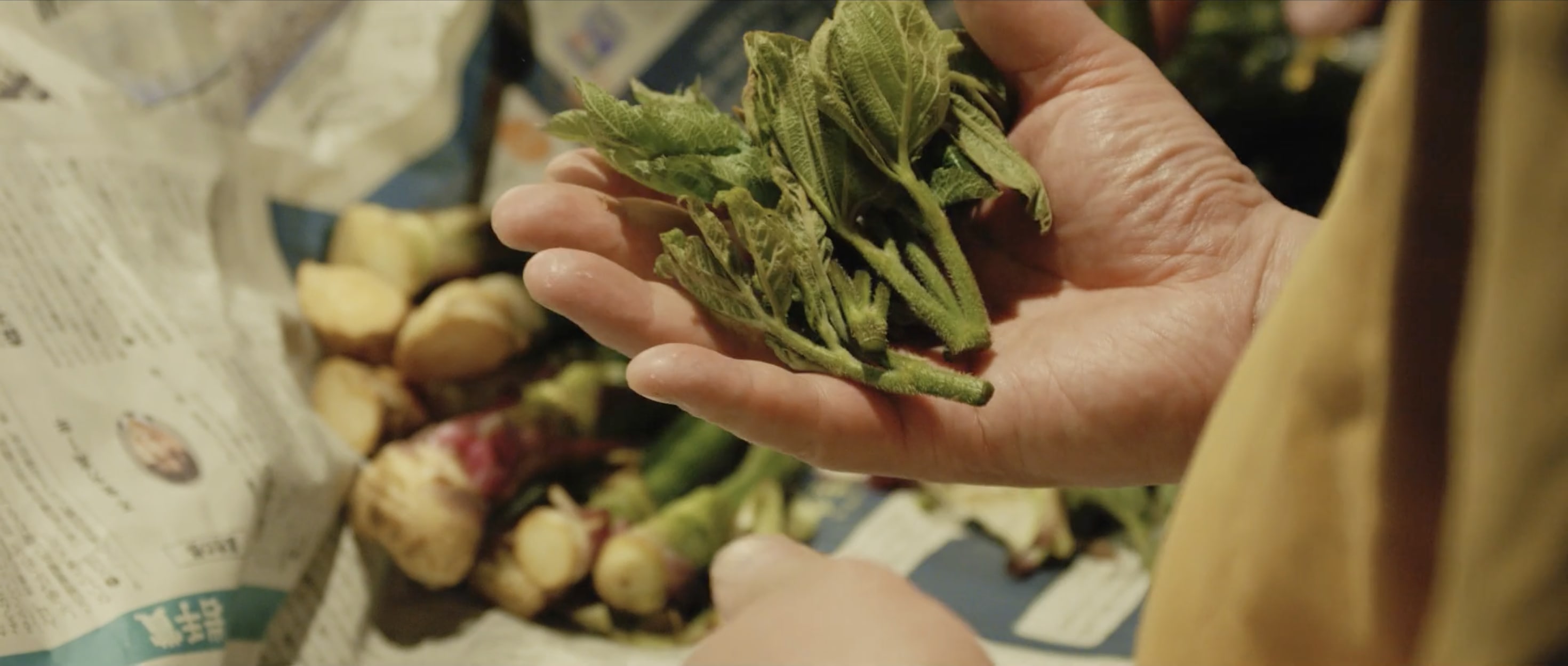 てのしま_手元2