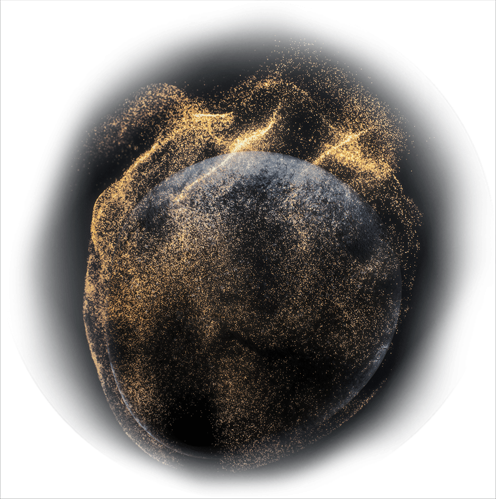 Groin & Pubic Hair Exfoliant Crop Exfoliator® MANSCAPED US