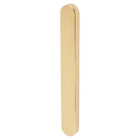 TSS uPVC External Blank Plate - 215mm Bolt Centres - Polished Brass