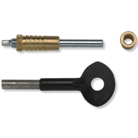 Yale 6P119/8K104 Tap in Sash Rail Screws - Pack of 6 with 1 Key