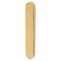 TSS uPVC External Blank Plate - 122mm Bolt Centres - Polished Brass