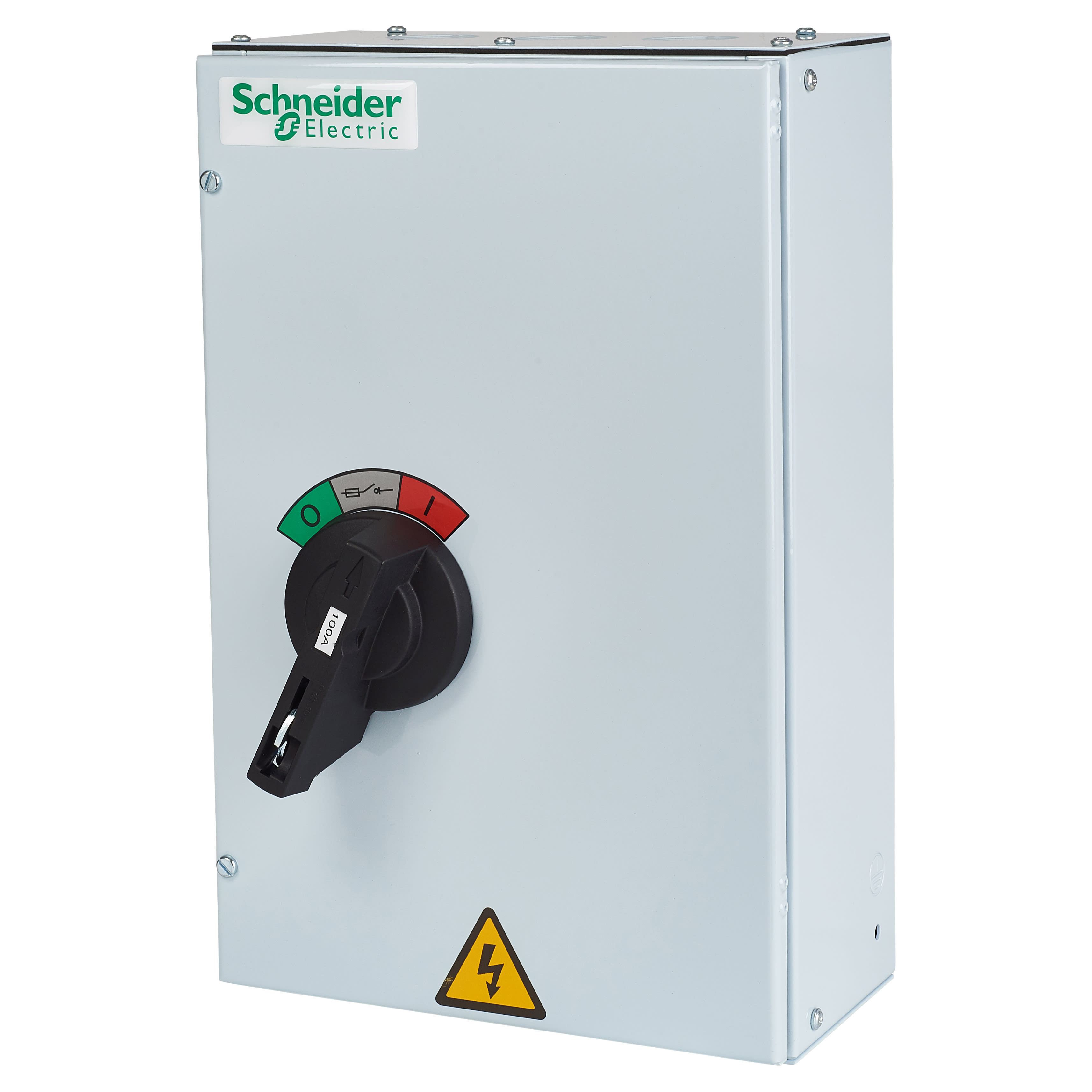 Schneider 100A Triple Pole and Neutral Twinbreak Switch Fuse