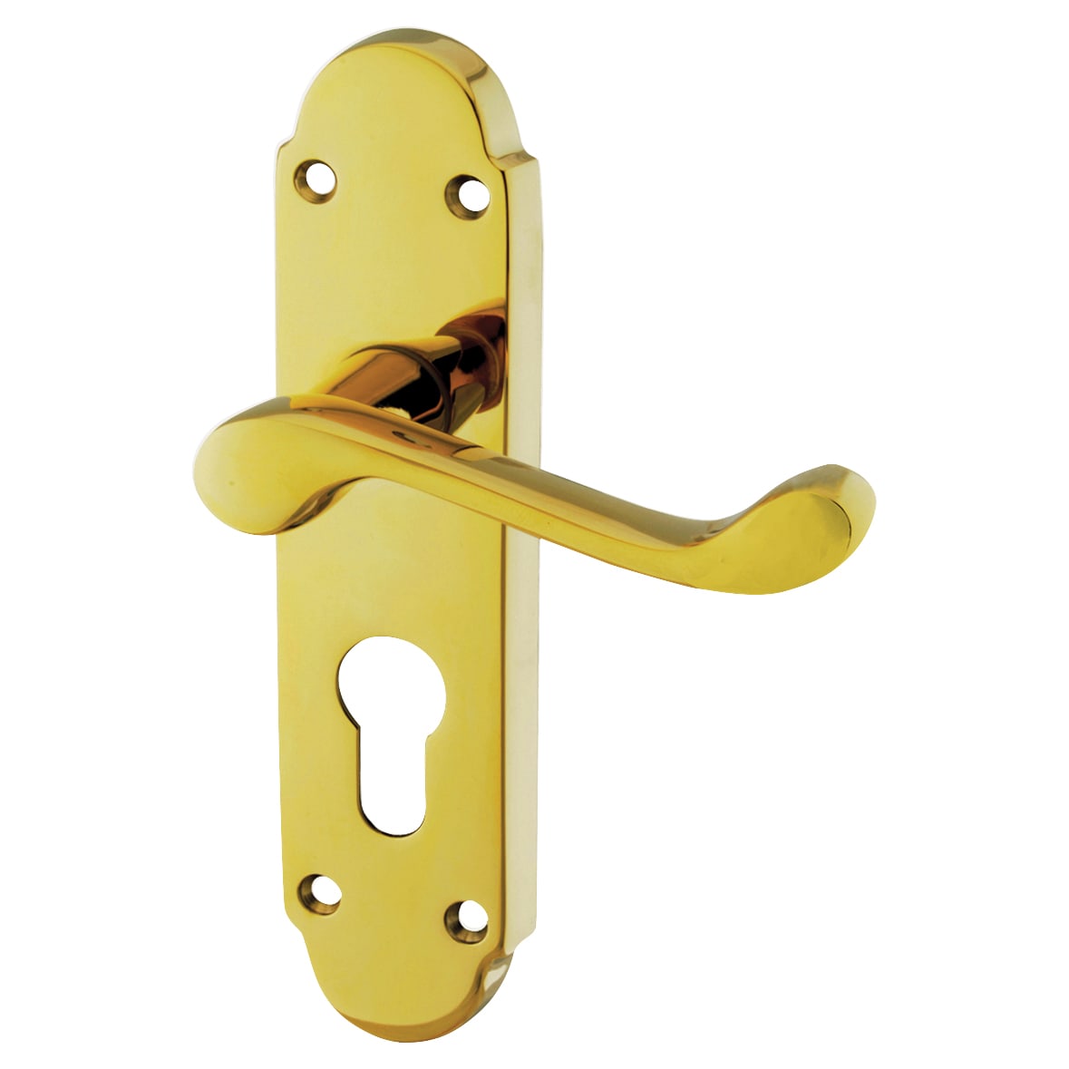 Carlisle Brass Oakley Door Handle Euro Lock Set Brass PVD