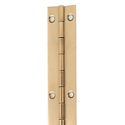 piano hinge door